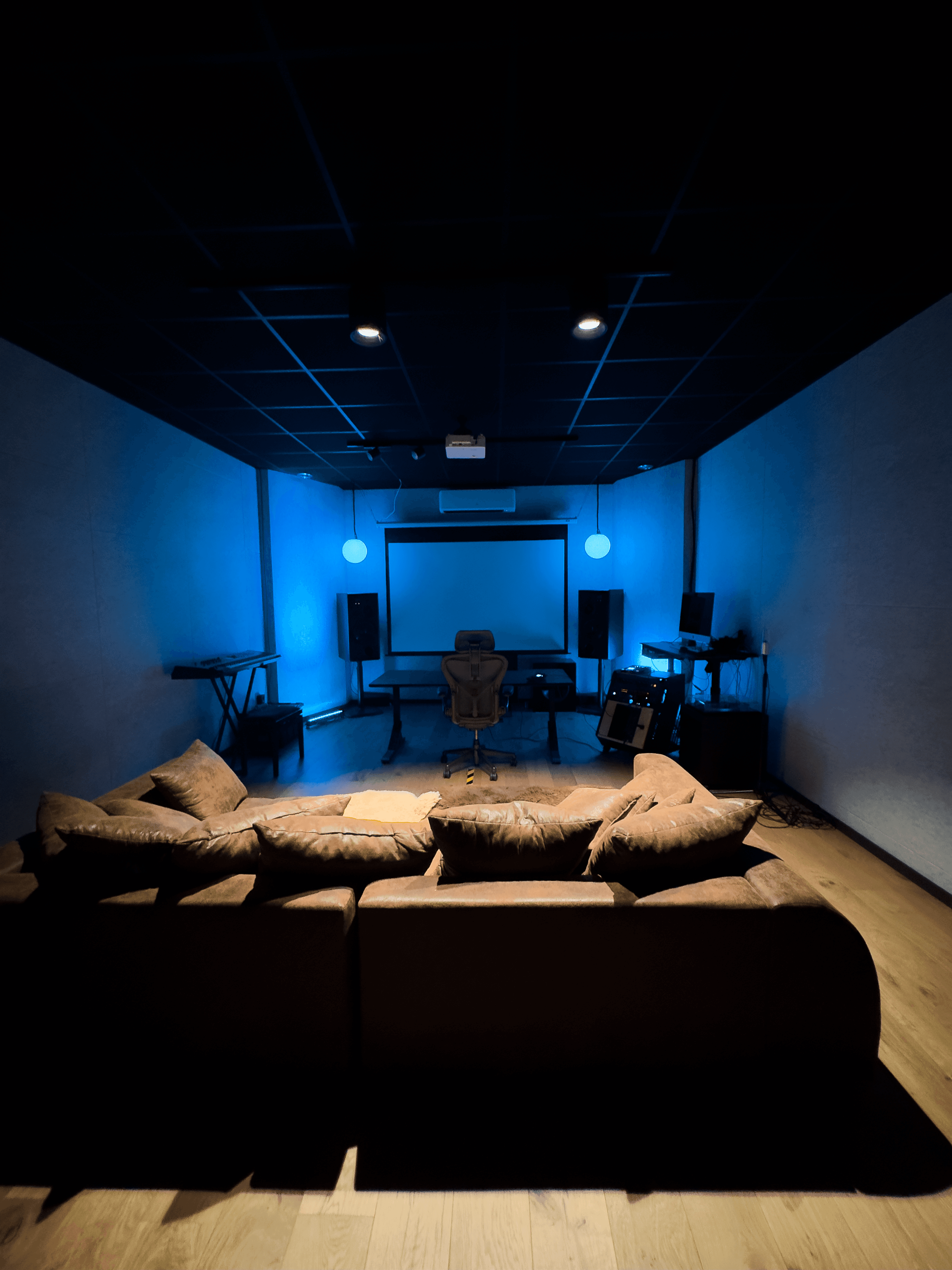 Acoustic treatment panels and floating room detail